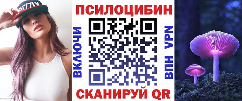 где продают   Балаково  Псилоцибиновые грибы мицелий 
