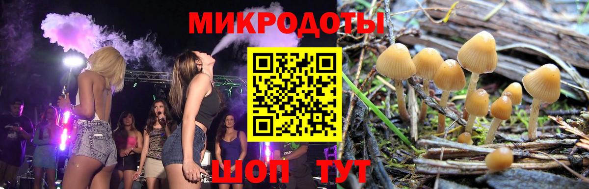 Балаково  Галлюциногенные грибы MAGIC MUSHROOMS  Вход с VPN  Псилоцибиновые грибы GOLDEN TEACHER 